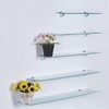Euro Tische 8 x Shelf Brackets Glass Shelf Support Chrome-Plated