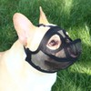 Short Snout Dog Muzzle - Adjustable Breathable Mesh Bulldog Muzzle,