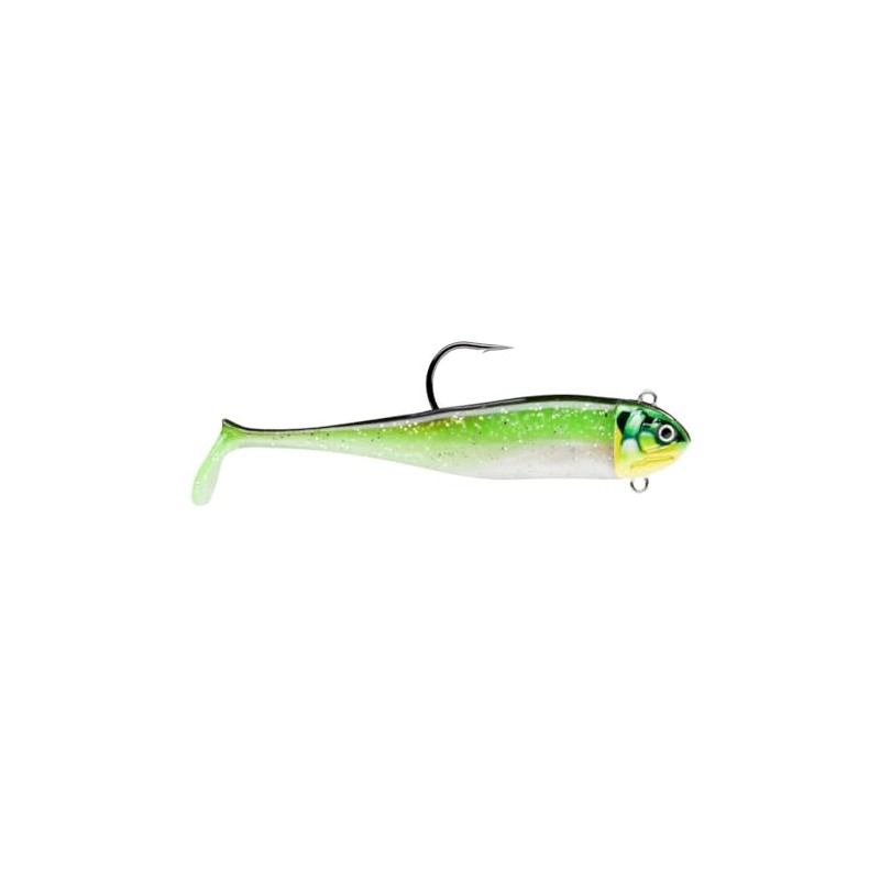 Biscay Minnow 16-73G CGR
