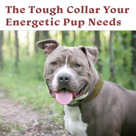 Ridge Ramblers Tactical Dog Collar with Handle and Metal Buckle -1.5 inch Wide Heavy Duty Collar with Control Handle for Medium to X-Large Training, Service and Military Dogs