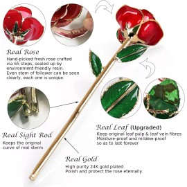 Sinvitron 24K Gold Dipped Rose Eternal Flower Gifts For Women Mother's Day Valentine's Day