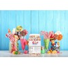Sarah's Candy Factory Assorted Dehydrated Marshmallow Bits in Jar, 8