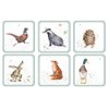 Wrendale Designs Coasters Set of 6