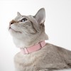 BuddyArmor Safety Cat Collar - U.S. IDA Gold Awarding Design,