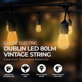 Globe 24 Feet 80 Lumens S14 Dublin LED Vintage String 12 Bulb Light Set, Includes 12 Sockets, Plug in, Black Cord and Bulbs for Indoor and Outdoor Use