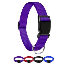 Collar para Perro diseño cómodo Resistente y Ajustable. Collar para Mascota Mini, Mediano, Grande y Extra Grande. Collar para Gato. Ideal para Dar un Paseo. Dog Collar (Grande, Morado)