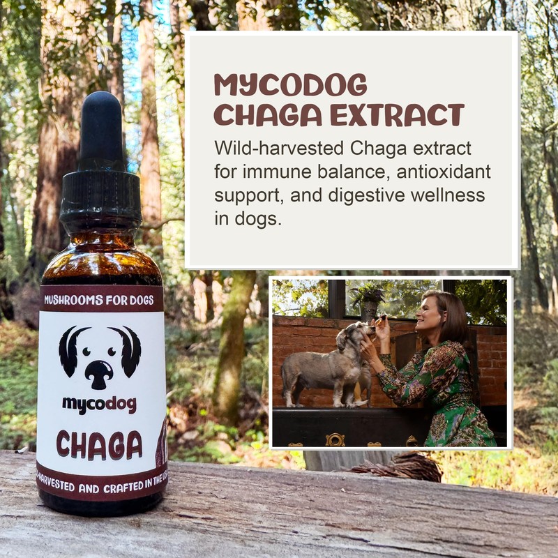 MycoDog Chaga Mushroom Supplement for Dogs - Immune Defense &