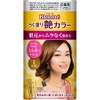 Braune Easy Paint Gloss Color 1 3.5 oz (100 g)