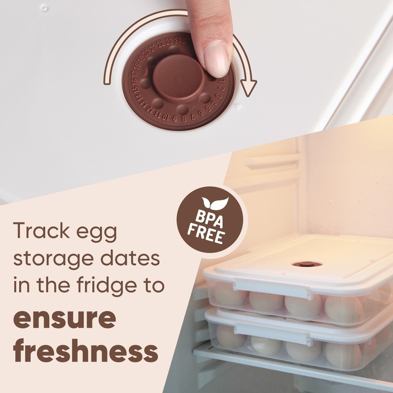 77L Deviled Egg Containers with Lid, (Set of 2), Plastic