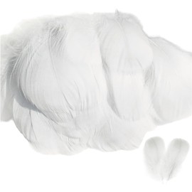 Samcos Feather Shower Feather Shower Feathers Abundant Feathers Arts and Crafts Materials Decorative Feathers DIY Decorations Wedding Event Birthday Party Performance (100 pieces, White)