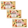 GBMS Red Plus Cheongyang Goji Fermented Concentrated Powder 30g 2