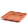Prosper Plast DKWT19-R624 19 x 19 x 16 cm Terra