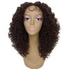 LUXLUXE Precious Curly Curly 17 in Long Lace Front Wig,
