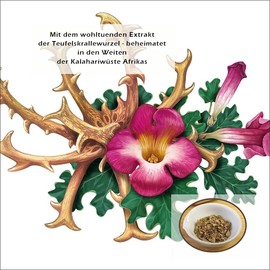 CristinenMoor High Quality Devil's Claw Balm 500 ml with 100% Natural Root of South African Devil's Claw & Olive, Lavender and Rosemary Oil, Intensive Joint Care, for Flaky Skin