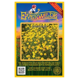 Everwilde Farms - 2000 Goldfields Native Wildflower Seeds - Gold Vault Jumbo Seed Packet