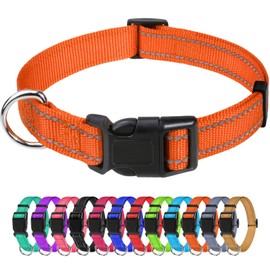 TagME Nylon Dog Collar, Adjustable Reflective Dog Collar with Safety Buckle for Small Dogs, Orange, 2.0 cm Width