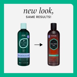 HASK Tea Tree Oil & Rosemary Invigorating Shampoo + Conditioner Set | Refreshes Scalp, Soothes, Sulfate-Free, Paraben-Free, Gluten-Free, Color Safe | 12oz each