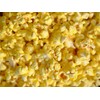 Amish Country Popcorn | 12 Pack Mixed Seasoning Bundle