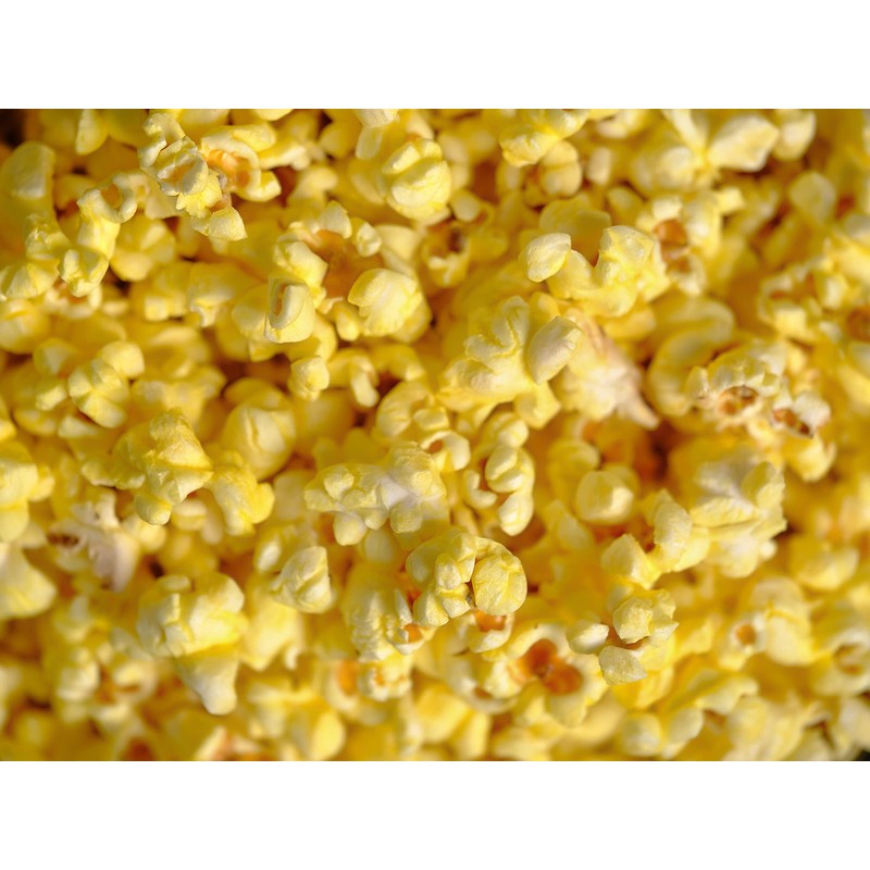Amish Country Popcorn | 12 Pack Mixed Seasoning Bundle
