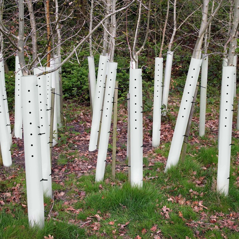 Pushglossy 5 Pack Tree Grow Tube Seedling Protectors Slit Tree