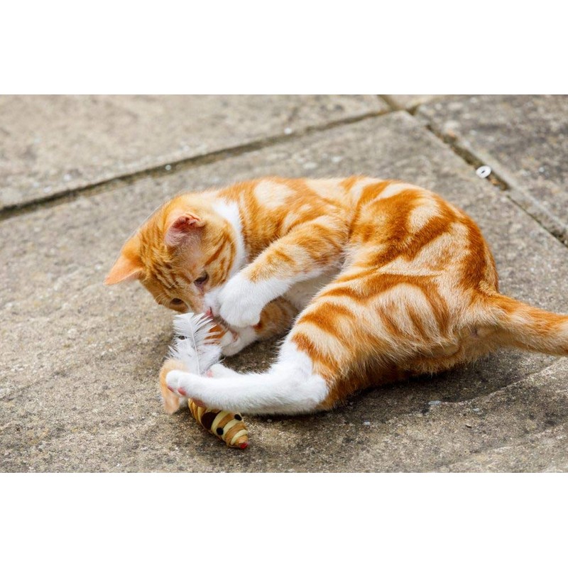 Catkins by Petface Sisal Mouse Cat Toy