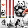 Daerthotk 6 pack Charcoal Pencils Drawing Set - Soft, Medium