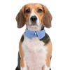 Faleela Cotton Plaid Shirt Style Dog Collar Soft Cute,Boy Dog