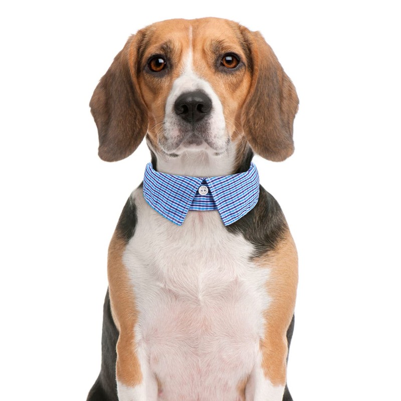 Faleela Cotton Plaid Shirt Style Dog Collar Soft Cute,Boy Dog
