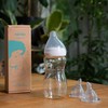 Minbie 6 Months + Breastfeeding Baby Bottle - Anti Colic