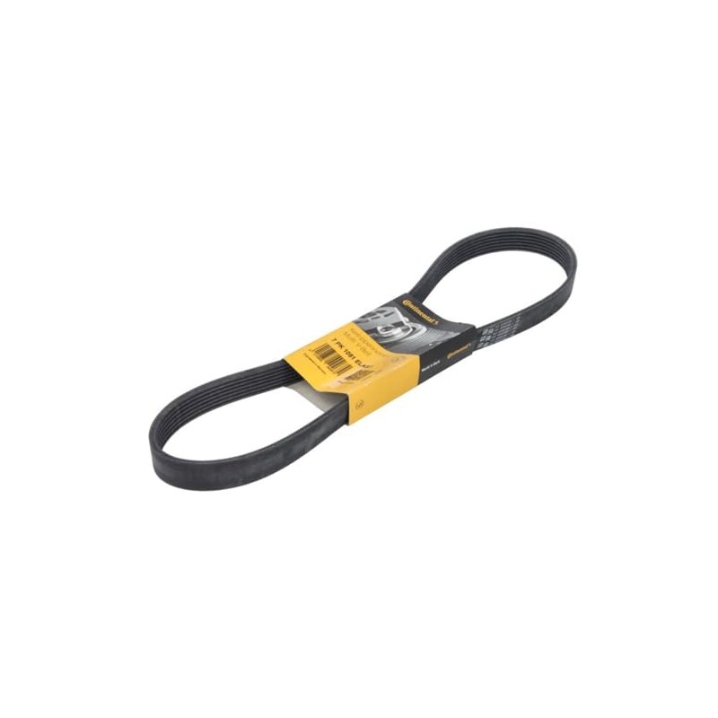 Continental 7PK1051ELAST V-Ribbed Belt Loose