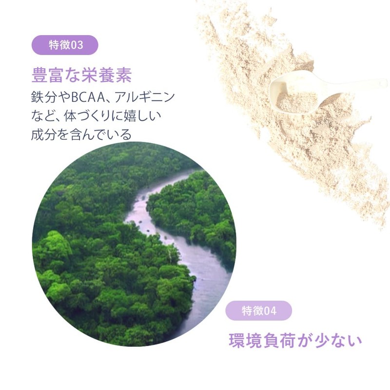 Well Protein ピーチ 300g 植物性プロテイン 置き換え ダイエット ピープロテイン ウェルプロ PMS