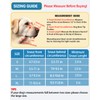 Dog Muzzle 2 Pack, Soft Mesh Breathable Muzzles for Small