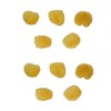 repino Painting Sponge Natural Sponge Set of 10 Natural Watercolour