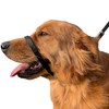 PetsProMax No-Pull Dog Headcollar for Large Dogs (Agressive/Reactive Dogs; Instant