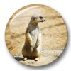 Merchandise for Fans Meerkat Fridge Magnets 02 Large for Memo