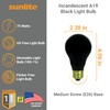 Sunlite 01096 Incandescent A19 Black Light Bulb, 75 Watts, E26