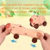 NBZOSENG Capybara Stress Squeeze Toys with Wheels - Super Fun