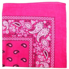Paisley One Dozen Cowboy Bandanas (Hot Pink, 22 X 22 in)