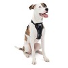 Kurgo Tru-Fit Smart Dog Walking Harness - Comfortable Fit -
