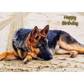 German Shepherd Dog Birthday Greeting Card