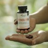 Resveratrol Pacalli Con Semilla De Uva Roja 60 Caps Sin