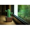 Lively Breeze Maxi Cactus, Non-Electric Ceramic Diffusers for Essential Oils