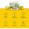 Ricola Sugar Free Lemon Mint Herbal Cough Suppressant Throat Drops,