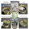 Super Absorbent Polymer Helps Plant Growth and Plant Establishment (5
