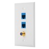 IBL-3 Port Wall Plate with Gold-Plated Coaxial TV Cable F