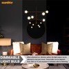 Sunlite G16.5 Incandescent Clear Globe Light Bulb, 15 Watts, 105