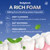 BodyAccel Whitening Tooth Powder Tooth Deep Cleaning Powder Natural Pearl
