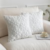 SHITURRE Christmas Snowflake Decorative Throw Pillow Covers Set of 2