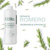 Hidrolato Romero Hebbe 500ml Tónico Piel Grasa y Cabello Débil