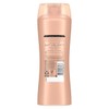 Suave Professionals Shine Shampoo Moroccan Infusion 12.6 oz (Pack of